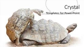  Presentation with sex - Theme having sex posation - funny picture of a love background and a white colored foreground