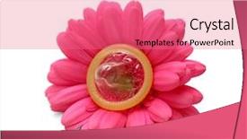  Presentation with contraception - Cool new presentation theme with sexually transmitted disease - contraception concept flower with condom backdrop and a coral colored foreground