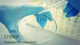  Presentation with transmitted disease - PPT layouts featuring sexually transmitted disease - doctor examining the urine background and a soft green colored foreground