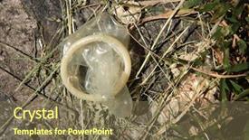  Presentation with condom - PPT layouts enhanced with sexually transmitted disease - used condom in a grass background and a violet colored foreground