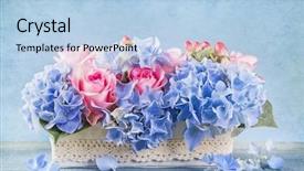  Presentation with flowers vase - Presentation theme having shabby chic - pastel colored flowers background and a light blue colored foreground