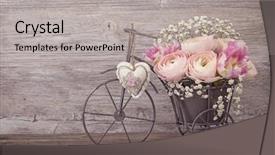  Presentation with flowers vase - Cool new PPT theme with shabby chic - ranunculus flowers in a bicycle backdrop and a light gray colored foreground