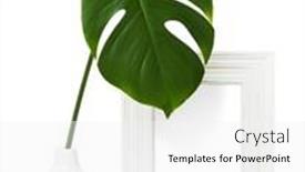  Presentation with picture frame - Cool new slide set with shabby-white-vertical-picture-frame backdrop and a white colored foreground