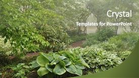  Presentation with vine - Beautiful presentation featuring green leaves hosta - shade garden with path leading backdrop and a seafoam green colored foreground
