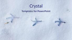  Presentation with footprints - Beautiful slide set featuring bird footprints in snow backdrop and a sky blue colored foreground