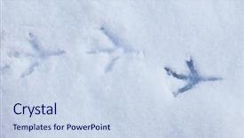  Presentation with footprints - Presentation design with bird footprints in snow background and a sky blue colored foreground