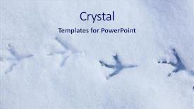  Presentation with footprints - Colorful presentation theme enhanced with bird footprints in snow backdrop and a sky blue colored foreground
