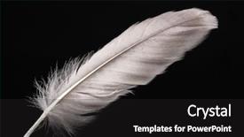  Presentation with feather - PPT theme enhanced with shadow bird - beautiful feather on black background background and a dark gray colored foreground