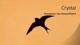  Presentation with swallow - Audience pleasing presentation theme consisting of shadow bird - silhouette of a swallow backdrop and a yellow colored foreground
