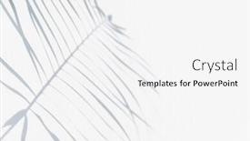  Presentation with palm leaves - PPT theme with shadow-of-palm-leaves background and a white colored foreground