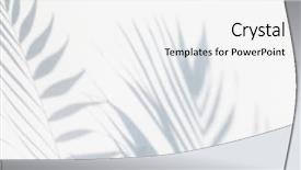  Presentation with palm leaves - Audience pleasing slide deck consisting of shadow of palm leaves backdrop and a white colored foreground