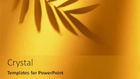  Presentation with orange plant - Cool new slides with shadow-of-tropical-plant-leaf backdrop and a gold colored foreground