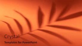  Presentation with orange plant - Slide deck consisting of shadow-of-tropical-plant-leaf background and a red colored foreground