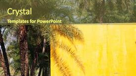  Presentation with palm oil seeds of tree - Colorful presentation theme enhanced with shadow on a yellow wall backdrop and a tawny brown colored foreground