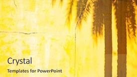  Presentation with oil palm tree - PPT theme enhanced with shadow on a yellow wall background and a blonde colored foreground
