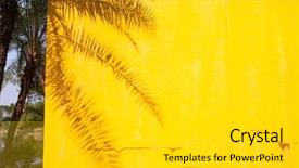  Presentation with palm oil seeds of tree - Amazing PPT theme having shadow on a yellow wall backdrop and a light gray colored foreground