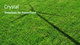  Presentation with green shadow - Slide set consisting of shadow on the grass - green background and a tawny brown colored foreground