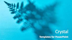  Presentation with fern - Colorful PPT layouts enhanced with shadow pattern of the leaves backdrop and a teal colored foreground