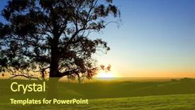  Presentation with rural - Amazing slides having shadow tree - beautiful sunset over a rural backdrop and a  colored foreground