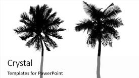  Presentation with tree silhouette - Colorful PPT theme enhanced with shadow tree - silhouette of palms isolated backdrop and a white colored foreground