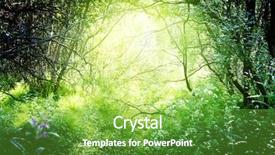  Presentation with deep - Amazing presentation theme having shadow tree - sun in deep forest backdrop and a tawny brown colored foreground