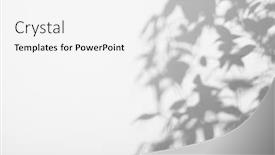  Presentation with abstract leaves - PPT theme consisting of shadow-tree-with-leaves background and a white colored foreground