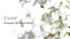  Presentation with shadow - Presentation featuring shadow-tree-with-leaves background and a cream colored foreground