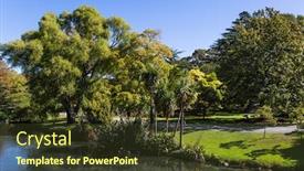  Presentation with new zealand - PPT theme enhanced with shady-avenue-goes-along background and a tawny brown colored foreground