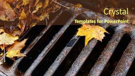  Presentation with drain - Audience pleasing slide deck consisting of shallow-focus-fall-leaves-clogging backdrop and a tawny brown colored foreground