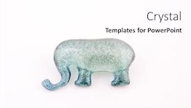  Presentation with shampoo - Slides having shampoo in the gelatin elephant background and a white colored foreground