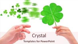  Presentation with hand touching finger digital - Presentation theme having shamrock against hand with raised background and a  colored foreground