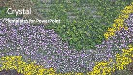  Presentation with february - Audience pleasing slide deck consisting of shanghai - february 29 beautiful colorful flowers pattern on the wall background in shanghai china february 29 2016 backdrop and a gray colored foreground