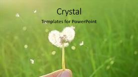  Presentation with shape heart - Presentation theme consisting of shape of a heart background and a yellow colored foreground