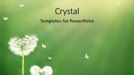  Presentation with shape heart - Beautiful presentation featuring shape of a heart backdrop and a mint green colored foreground