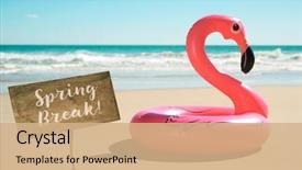  Presentation with spring break - PPT layouts with shape of a pink background and a coral colored foreground