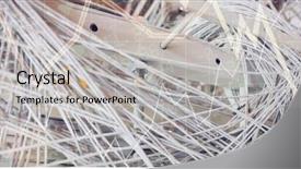  Presentation with server room - Slide set featuring shares against cables and plug background and a light gray colored foreground