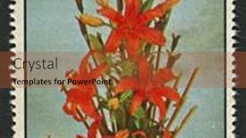  Presentation with bloom - 