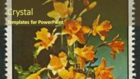  Presentation with bloom - 