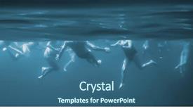  Presentation with shark - Amazing theme having shark's eye view - softened background backdrop and a  colored foreground