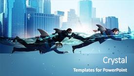  Presentation with shark fin - PPT theme featuring shark fin swimming in water background and a teal colored foreground