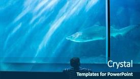  Presentation with shark - Slide set featuring shark in a tank background and a ocean colored foreground