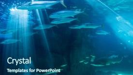  Presentation with fish aquarium - Cool new slides with darkest water at the aquarium backdrop and a ocean colored foreground