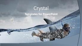  Presentation with shark - Beautiful PPT theme featuring shark-of-business-world backdrop and a gray colored foreground