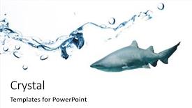  Presentation with water tank - PPT theme with close up on blue sparkling background and a white colored foreground