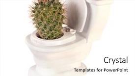  Presentation with retirement plan financials - Beautiful theme featuring sharp painful cactus plan growing backdrop and a white colored foreground