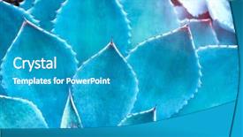  Presentation with plant - Colorful presentation theme enhanced with sharp pointed agave plant leaves backdrop and a teal colored foreground