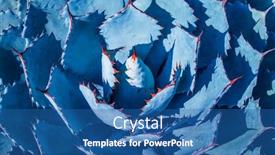  Presentation with plant - Presentation design featuring sharp-pointed-agave-plant-leaves background and a ocean colored foreground