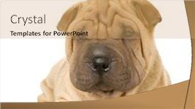  Presentation with artificial intelligence white - PPT theme having sharpei in front of a white background background and a coral colored foreground