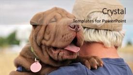  Presentation with human being - Cool new presentation with sharpei puppy being held backdrop and a coral colored foreground