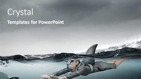  Presentation with shark - Theme consisting of she is dangerous like shark mixed media background and a gray colored foreground